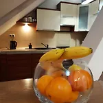 Apartment Copernicus 10 *