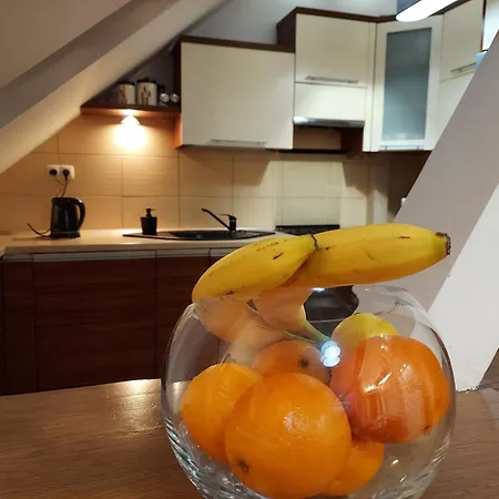 Apartmán Copernicus 10 *