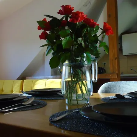 Copernicus 10 דירה אולז'טין